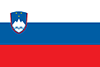 slovenian flag